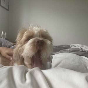 Meet your Posher, Cira